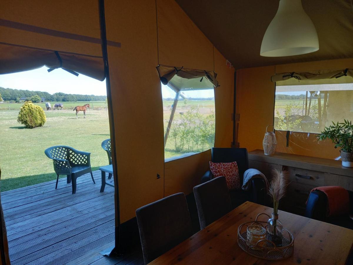 Comfort Safaritent 6 Pers En Mini Camping Zwiggelte Екстериор снимка